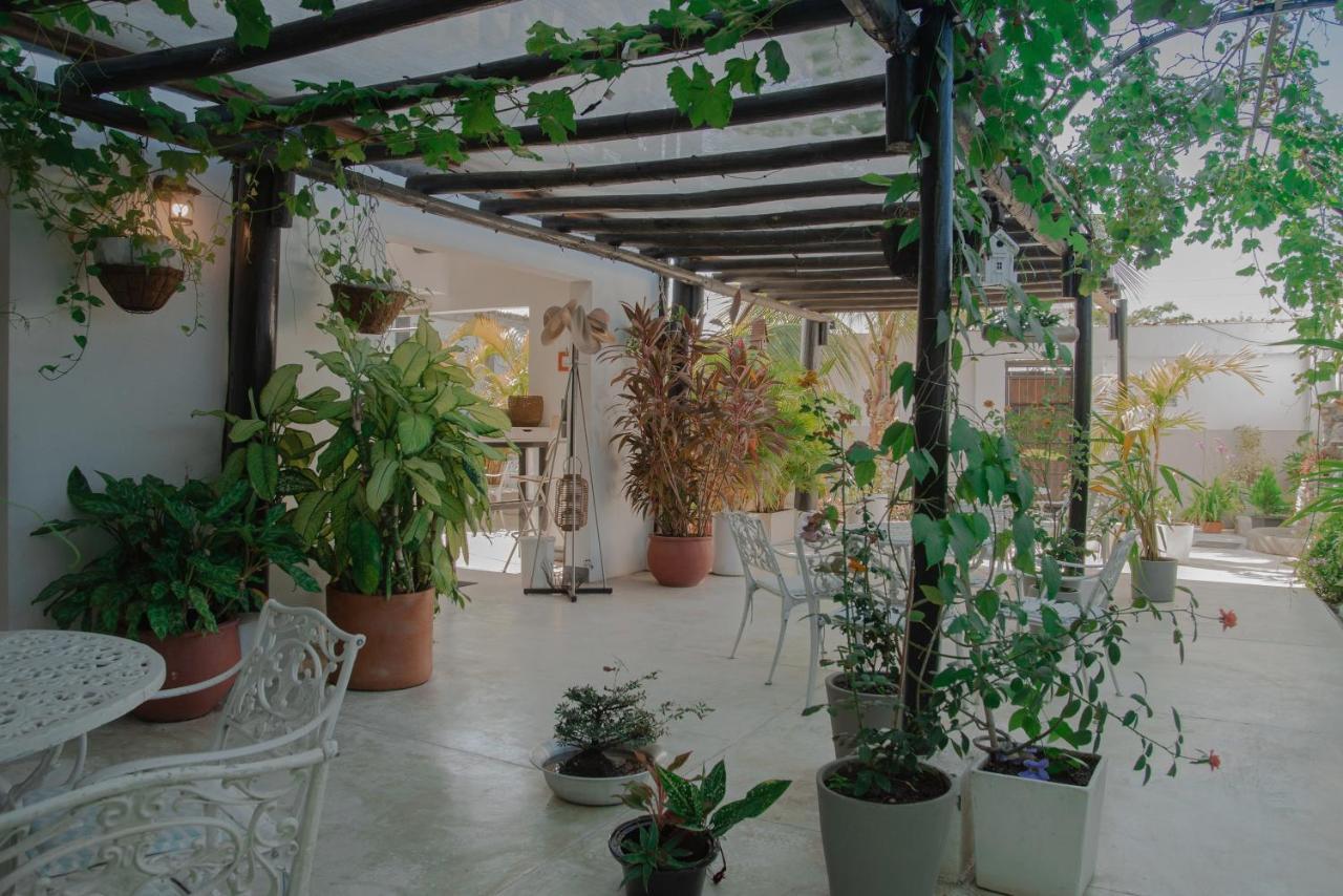 Casa Ines * Santa Marta (Magdalena)