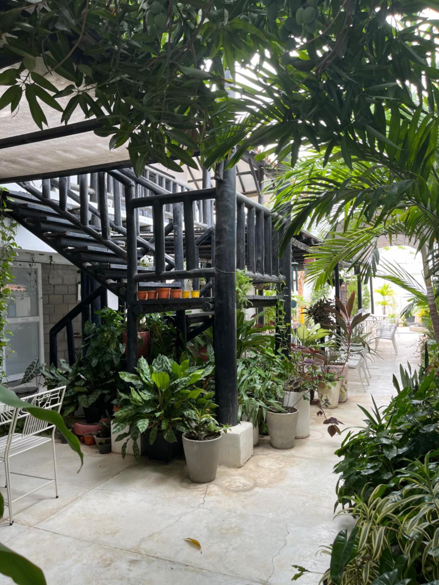Casa Ines * Santa Marta (Magdalena)